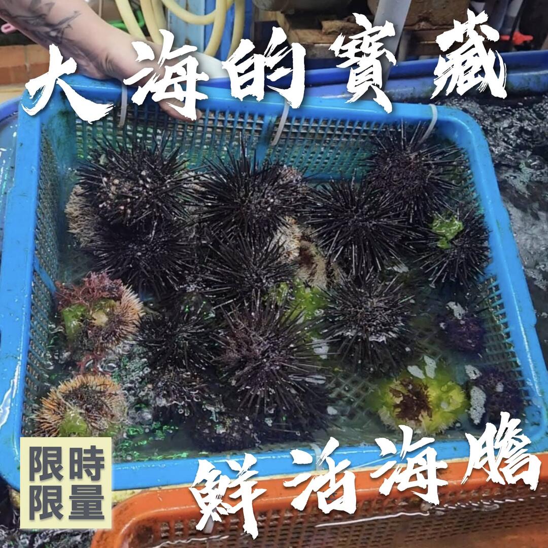 正濱漁港 vs 碧砂漁港：基隆兩大漁港美食怎麼選？