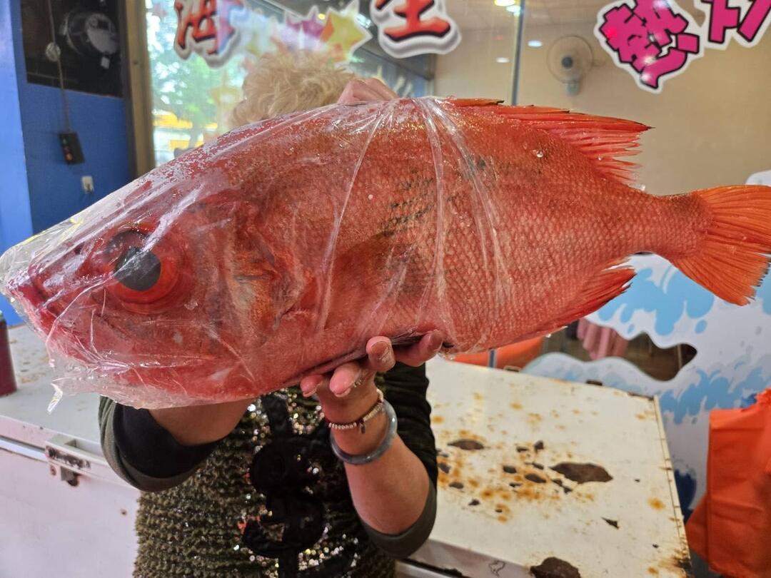 碧砂漁港美食攻略：在地人推薦的現撈海鮮這樣吃